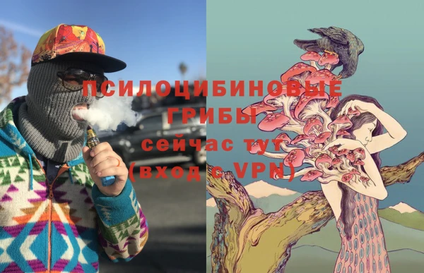 дмт Абаза