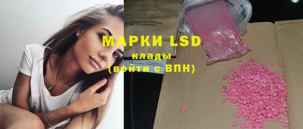 прущие грибы Лагань