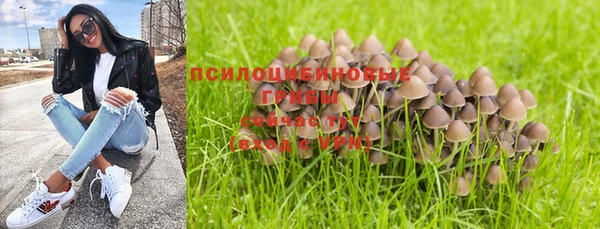 дмт Абаза