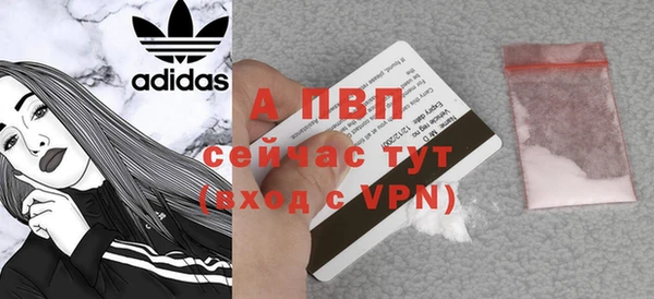 прущие грибы Лагань