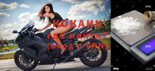 прущие грибы Лагань
