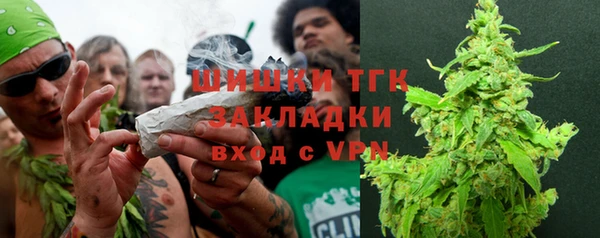 прущие грибы Лагань