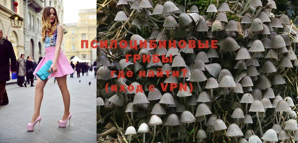дмт Абаза