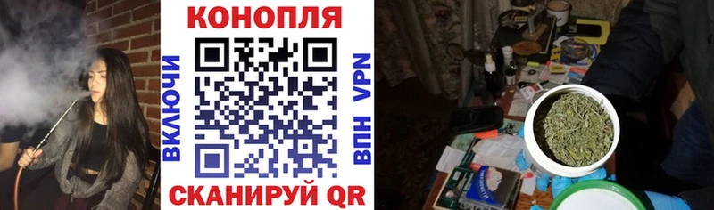 Бошки Шишки сатива Туапсе